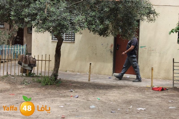 ludpolicedogs411 (11).jpg